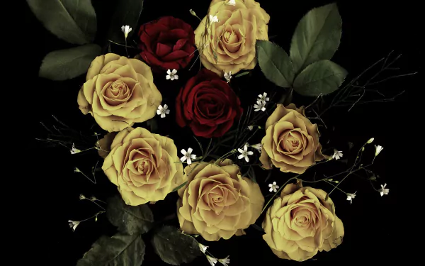 HD desktop wallpaper featuring a bouquet of vibrant red and yellow roses with green leaves and delicate white accents against a dark background.