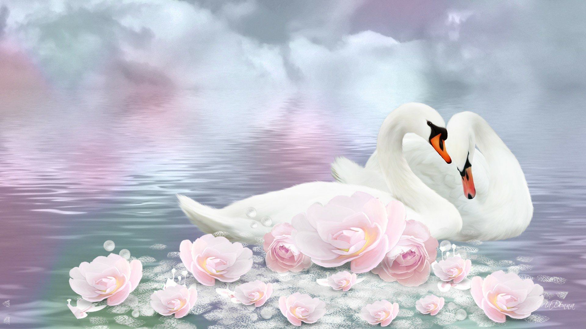 Swans and Lotus Flowers