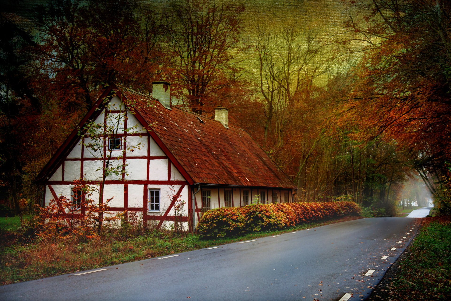 Cozy Cottage Along a Quiet Fall Forest Road – HD Wallpaper | 2048x1365 ...