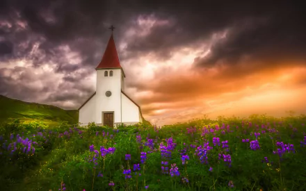 Víkurkirkja white church in a purple lupine field at sunset beneath dramatic clouds — religious scene, HD PC desktop wallpaper background.