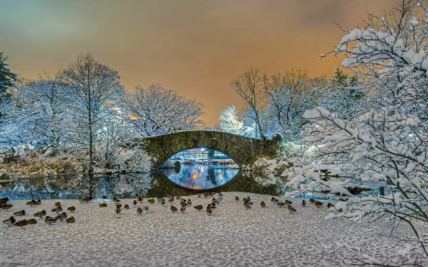 A winter scene in Central Park featuring a snow-covered bridge surrounded by trees and ducks on a frozen pond, all illuminated by a soft, warm glow in the evening sky.