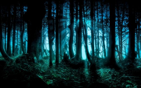 Fantasy Forest HD Wallpaper | Background Image