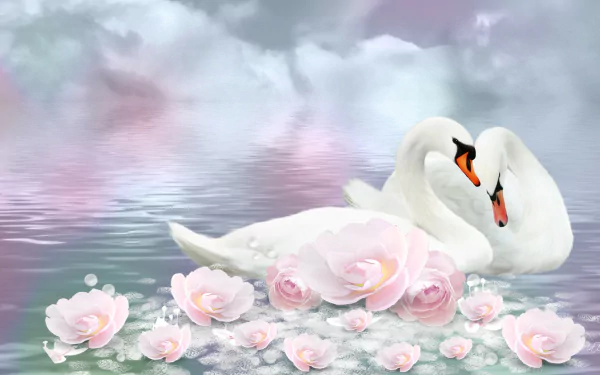 A serene HD wallpaper featuring two swans reflecting in calm water, surrounded by soft pink lotus flowers and gentle clouds, creating a peaceful and harmonious scene.