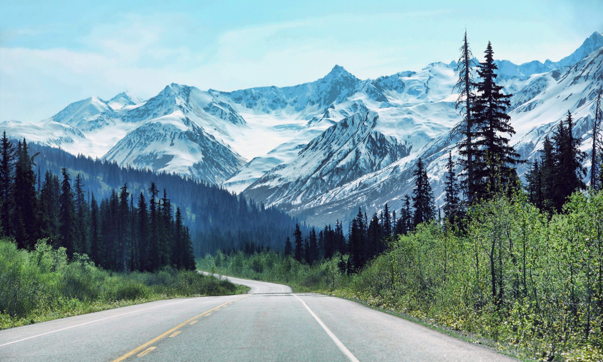A winding man-made road cuts through a lush forest with snow-covered mountains in the background under a clear blue sky, captured in an HD landscape wallpaper.