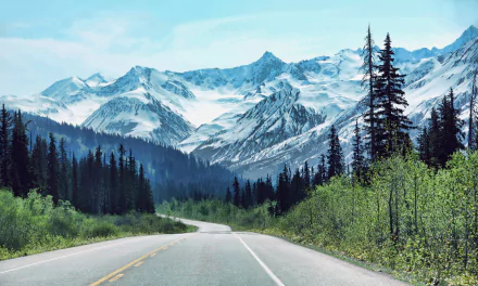 A winding man-made road cuts through a lush forest with snow-covered mountains in the background under a clear blue sky, captured in an HD landscape wallpaper.