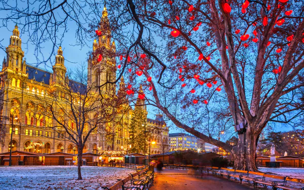 tree fall light Austria vienna city hall city man made Vienna HD Desktop Wallpaper | Background Image