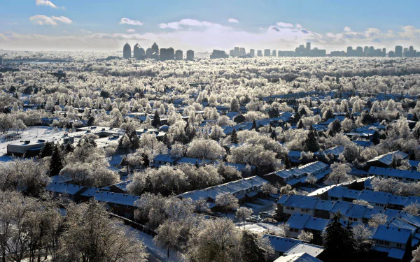  white morning in Toronto, Canada