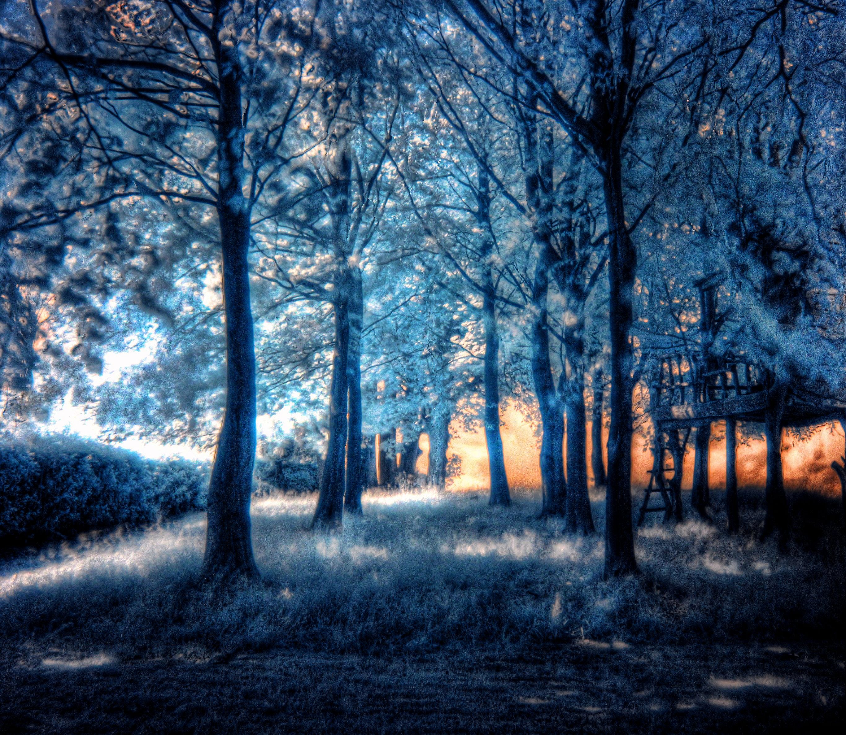 Photography Infrared HD Wallpaper | Background Image