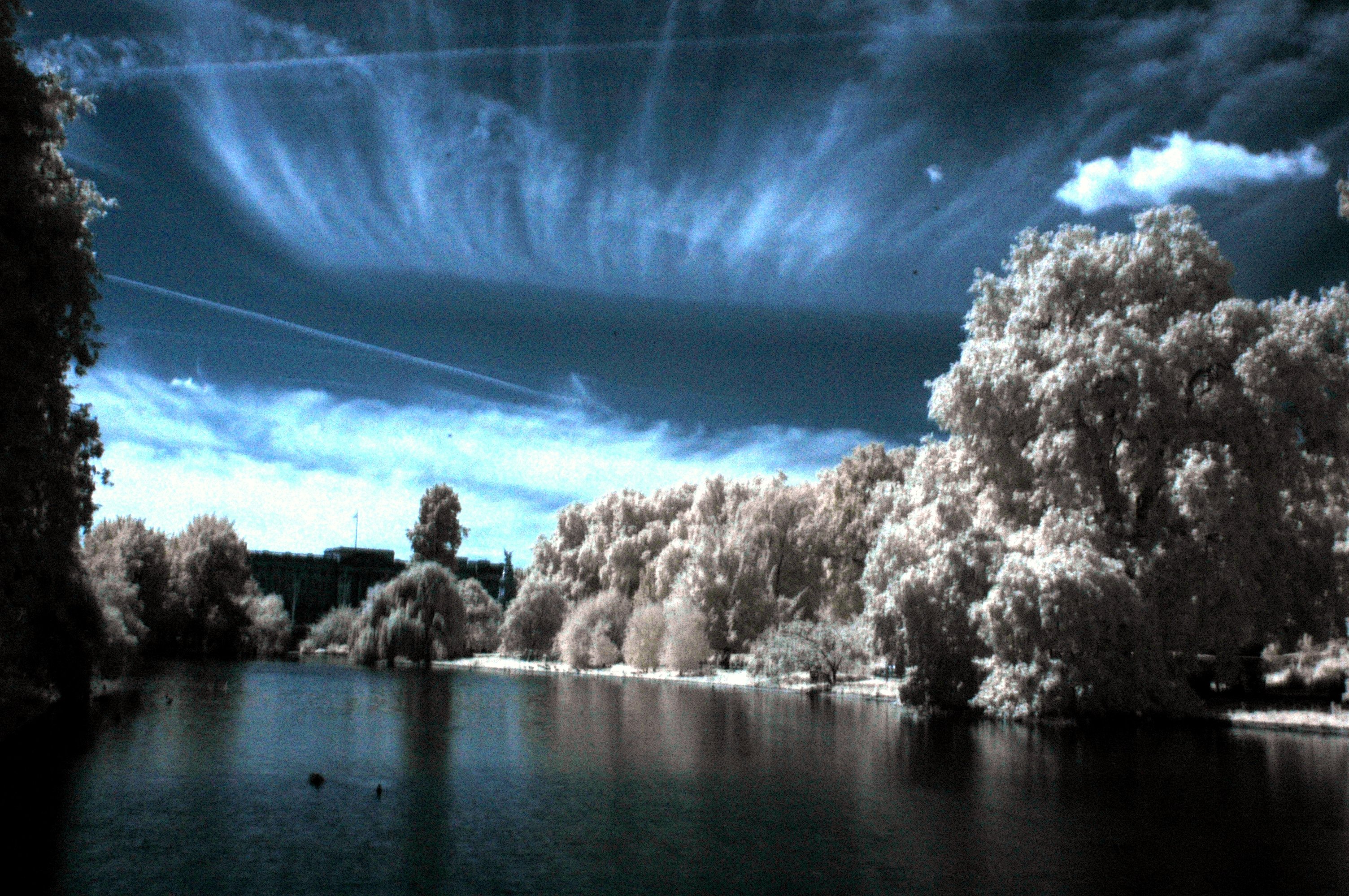 Infrared Photography lake surrounded by trees