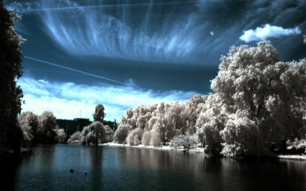 Photography Infrared HD Wallpaper | Background Image