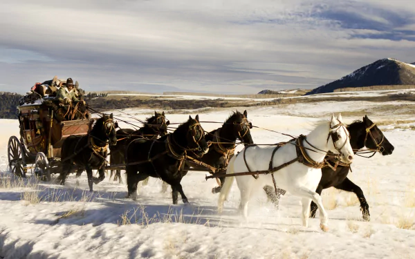 horse movie The Hateful Eight HD Desktop Wallpaper | Background Image