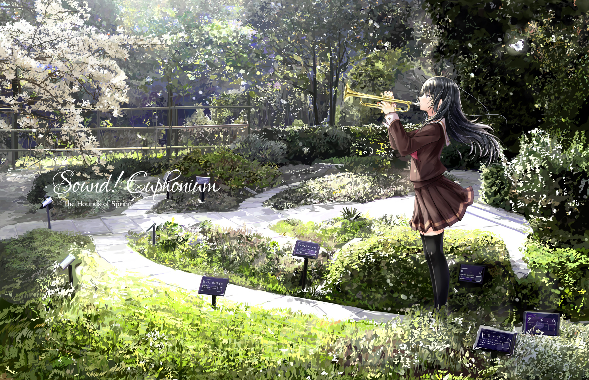 Anime Sound! Euphonium HD Wallpaper by ヤマウチシズ