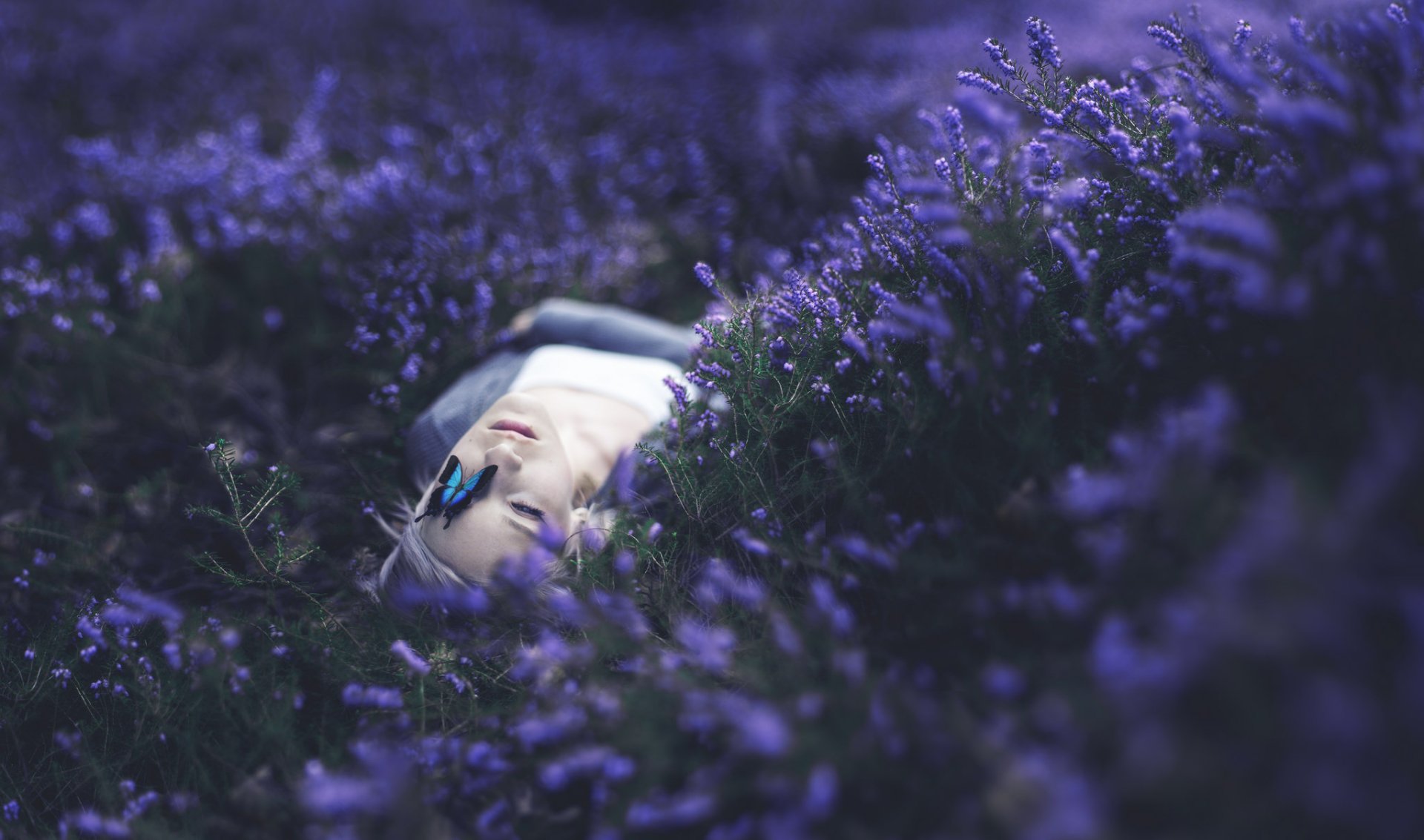 A blonde woman lies peacefully among purple flowers with a butterfly resting on her face, surrounded by a soft bokeh effect in this HD desktop wallpaper.