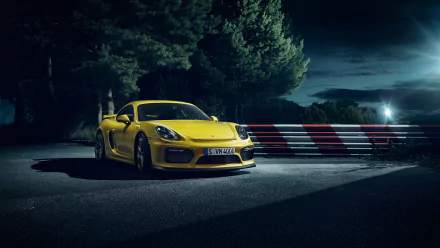 car yellow car Porsche vehicle Porsche Cayman GT4 HD Desktop Wallpaper | Background Image