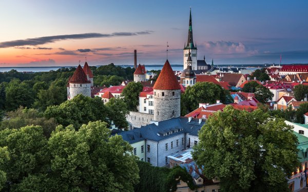 Man Made Tallinn Cities Estonia City Building Tree Church HD Wallpaper | Background Image