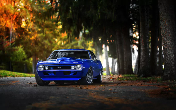 A sleek blue Chevrolet Camaro SS parked on a scenic road, surrounded by autumn foliage, highlighting its muscle car design and powerful presence. HD wallpaper for car enthusiasts.