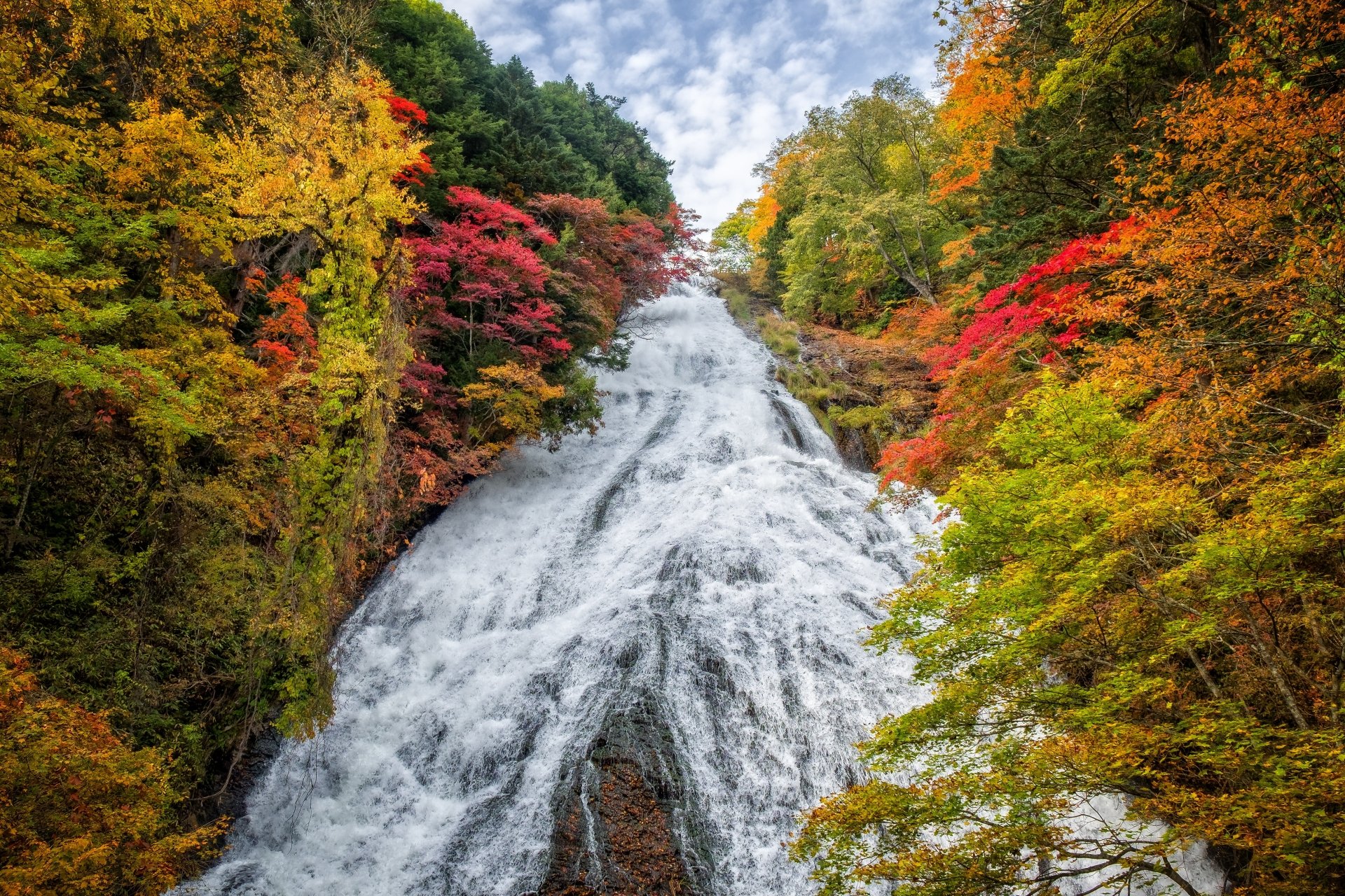 Download Nature Japan Tree Fall Waterfall 4k Ultra HD Wallpaper