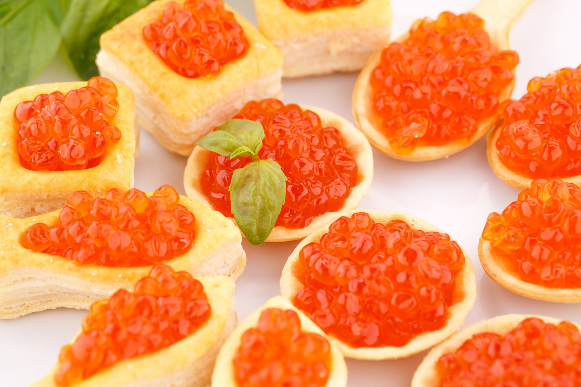 5K Ultra HD PC desktop wallpaper: close-up of bright red fish caviar on egg-based canapés and small pastry shells, garnished with basil.