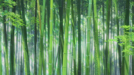  Chikurin - The Boy and the Beast by Mamoru Hosoda