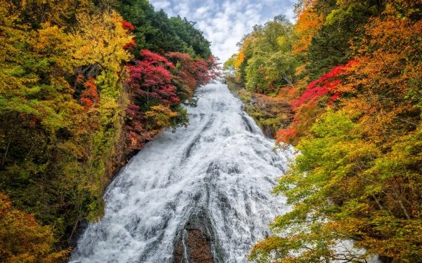 Nature Waterfall Waterfalls Fall Tree Japan HD Wallpaper | Background Image