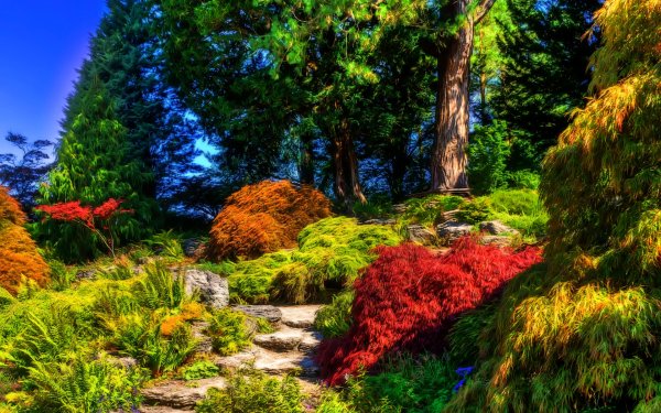 Man Made Garden Tree Shrub Colors Colorful HD Wallpaper | Background Image