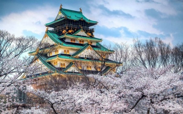 Man Made Osaka Castle Castles Japan Castle Architecture Cherry Blossom HD Wallpaper | Background Image