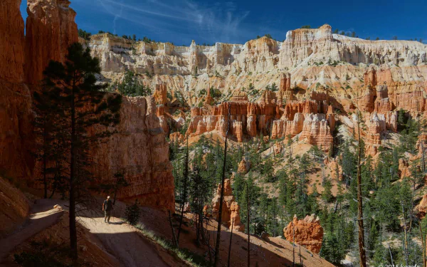 A scenic view of Bryce Canyon National Park in Utah, showcasing vibrant cliffs and lush greenery, capturing the beauty of nature along a winding trail.