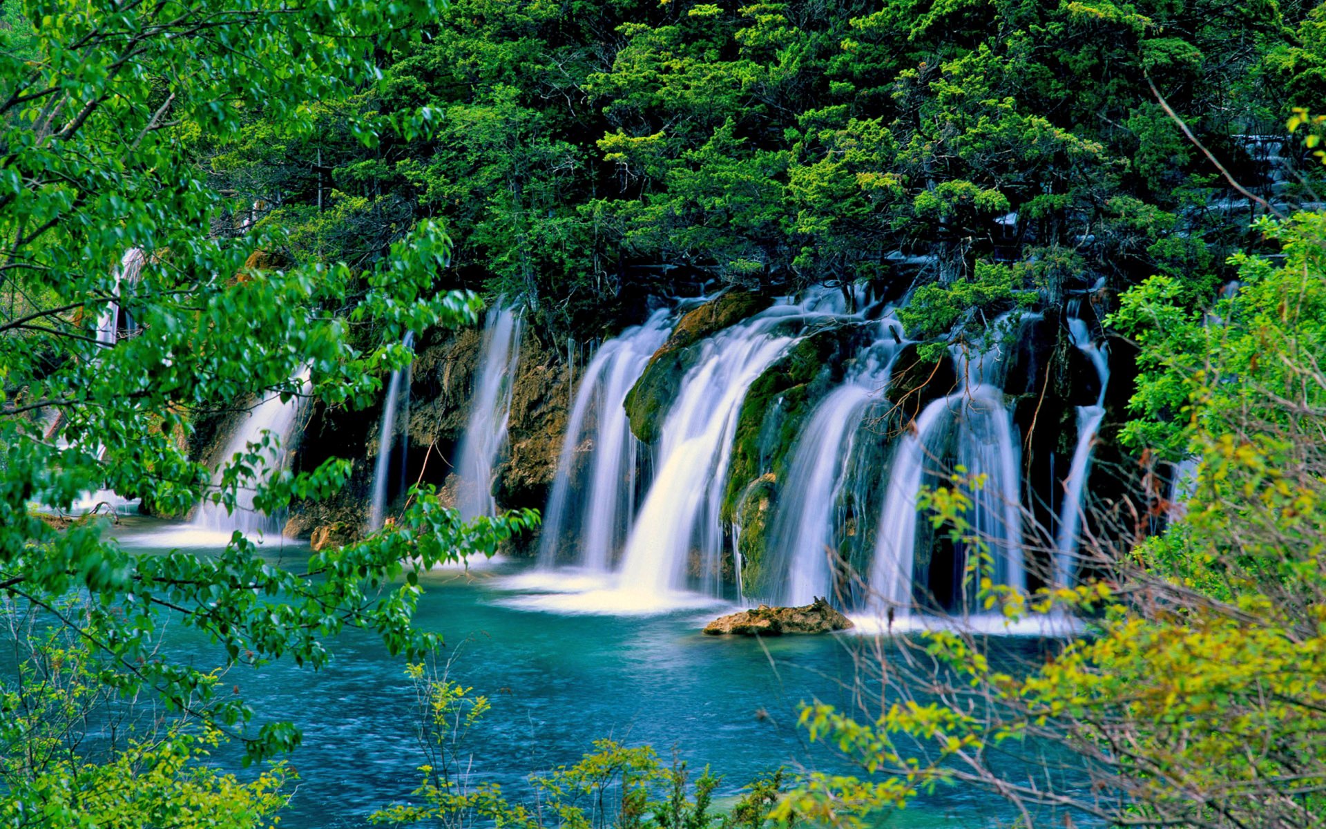 Download Nature Green Tree Forest Waterfall HD Wallpaper