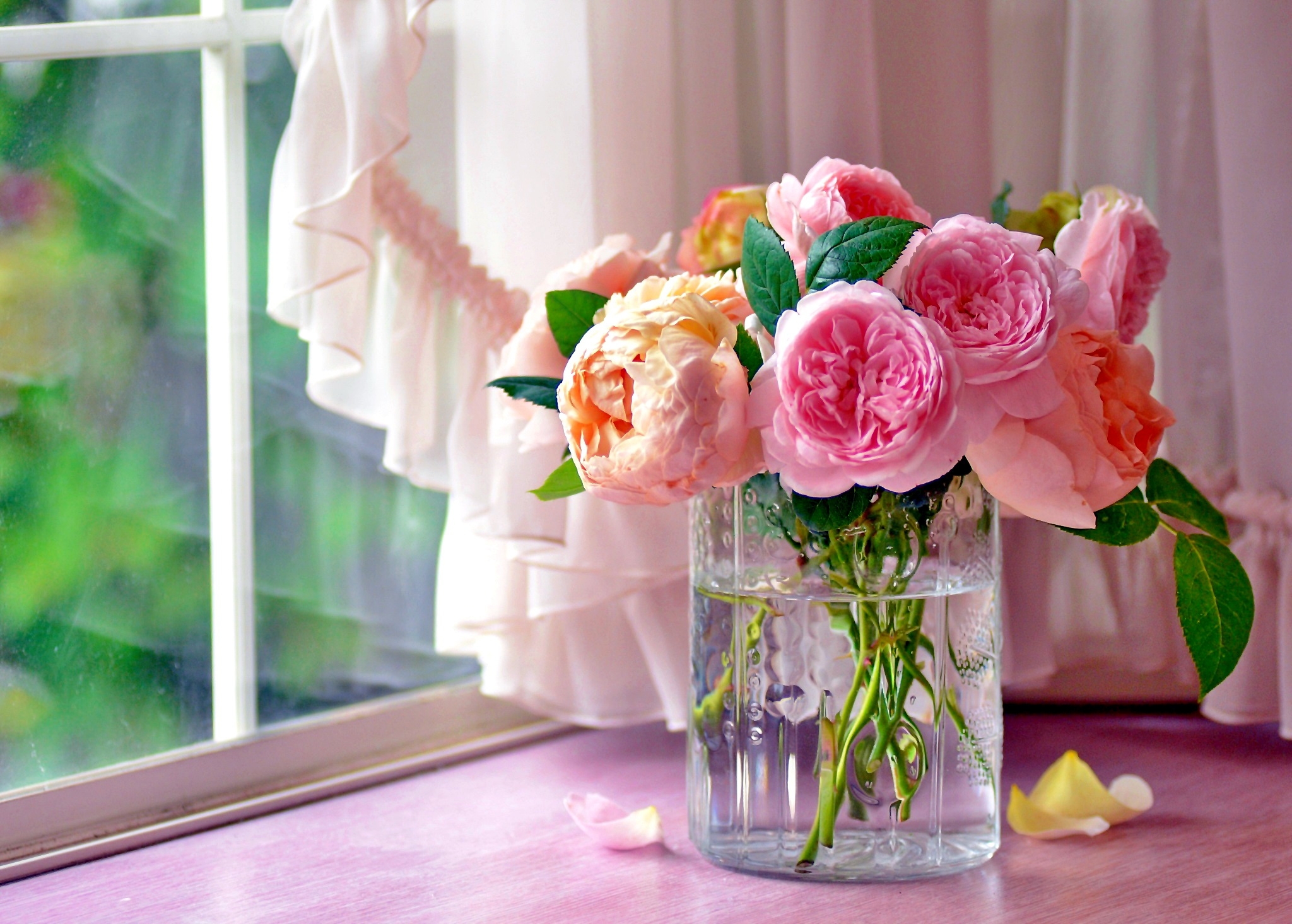 Pastel-Colored Cabbage Roses in Vase by the Window
