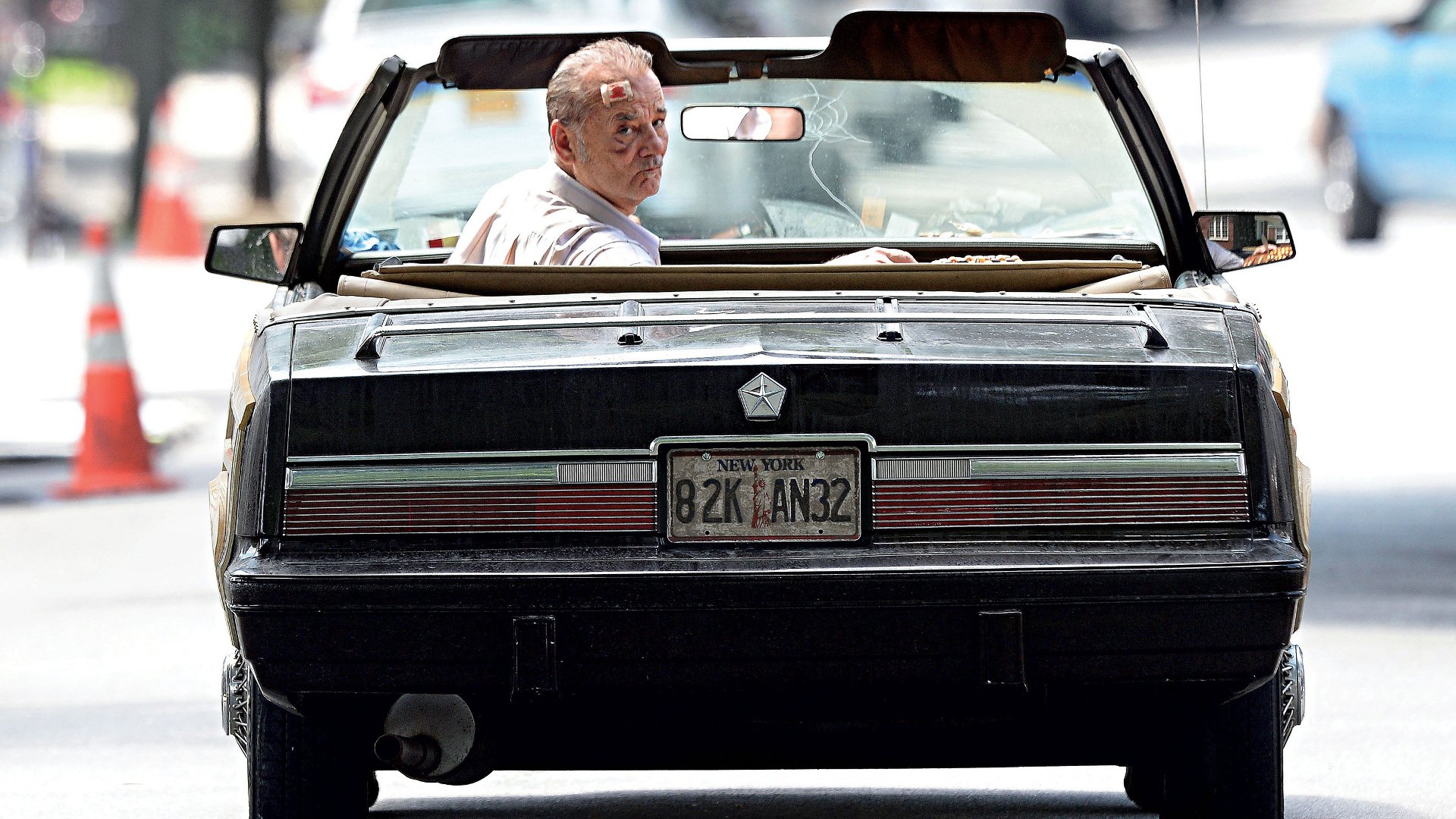 Download Bill Murray Movie St. Vincent HD Wallpaper