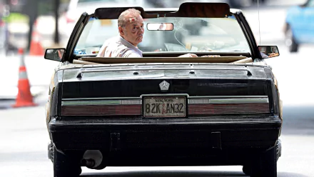 Bill Murray movie St. Vincent HD Desktop Wallpaper | Background Image