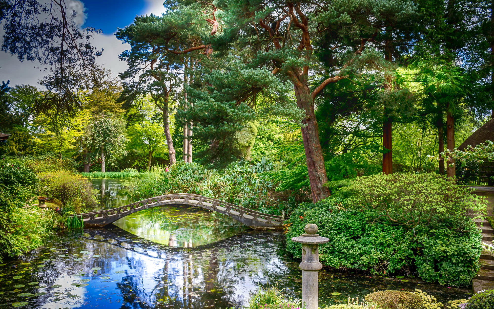Photography Park HD Wallpaper | Background Image