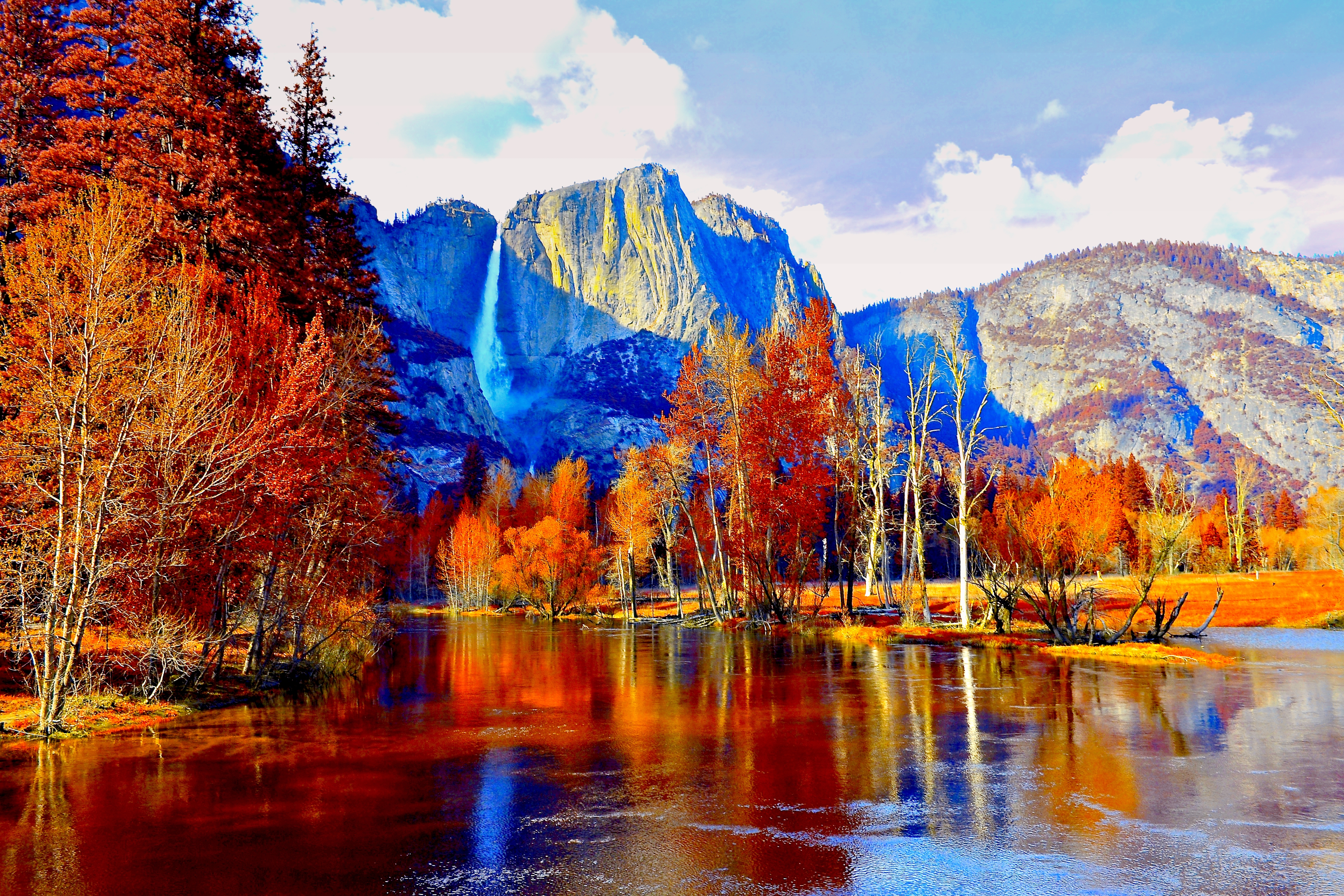 Autumn Trees In The Mountains