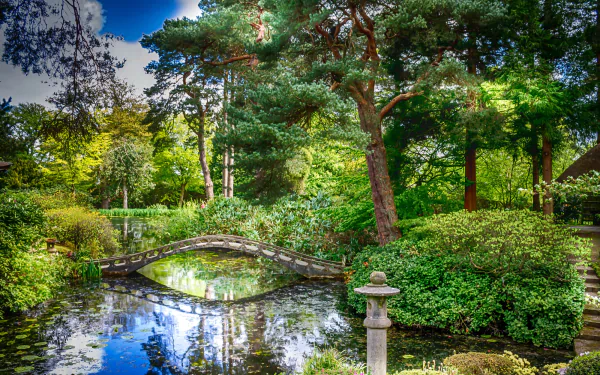 HD desktop wallpaper of a serene English park featuring a stone bridge over a pond with clear reflections, surrounded by lush shrubs and tall trees.