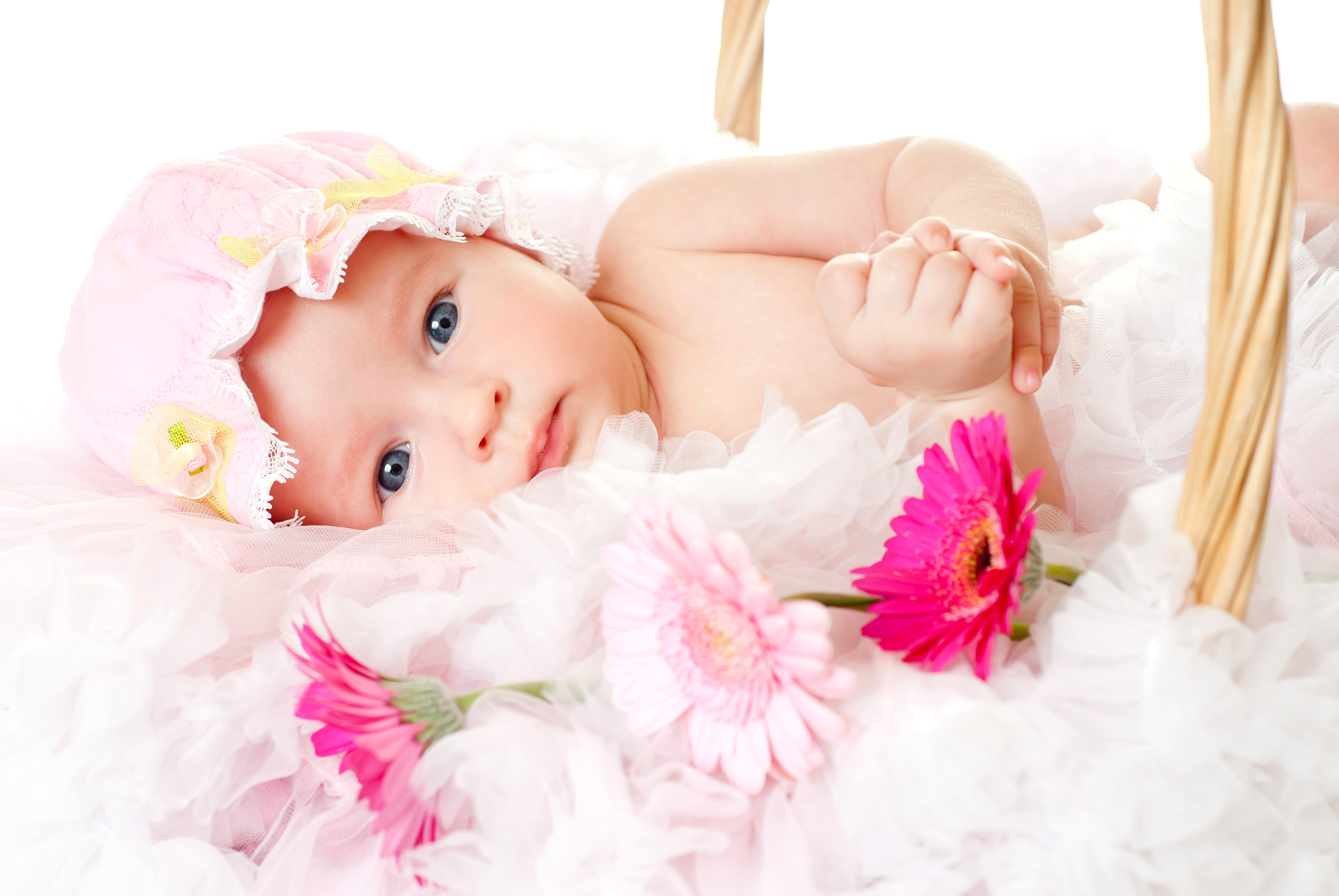 Sweet Baby Girl with Gerberas 5k Retina Ultra HD Wallpaper | Background