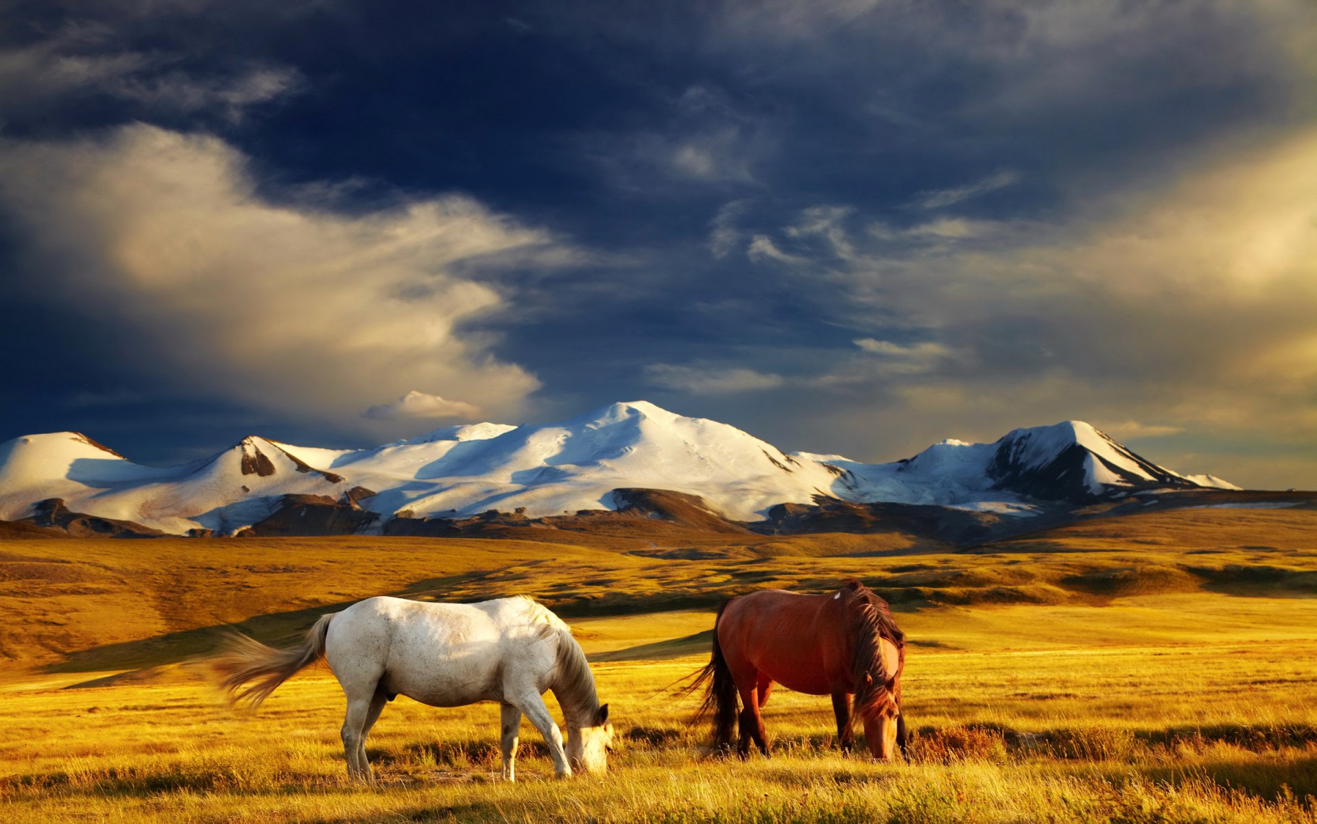 Download Landscape Mountain Field Animal Horse HD Wallpaper