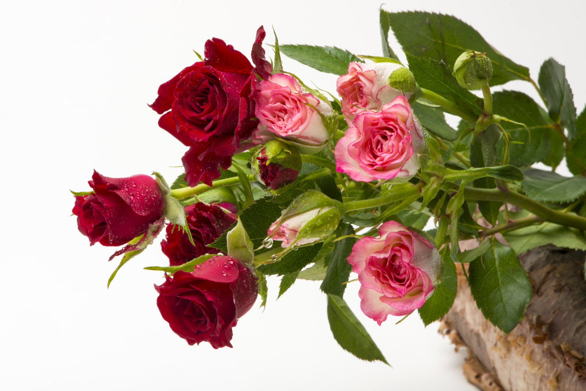 A vibrant arrangement of red and pink roses, glistening with water drops, showcases the beauty of nature against a soft background, creating an elegant HD wallpaper.