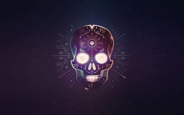 HD PC desktop wallpaper featuring a glowing skull with electronic circuit patterns, inspired by Hardwell and music themes on a dark background.
