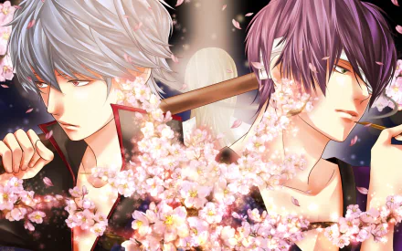 HD desktop wallpaper featuring characters Yoshida Shouyou and Shinsuke Takasugi from the anime Gintama, surrounded by blooming cherry blossoms.