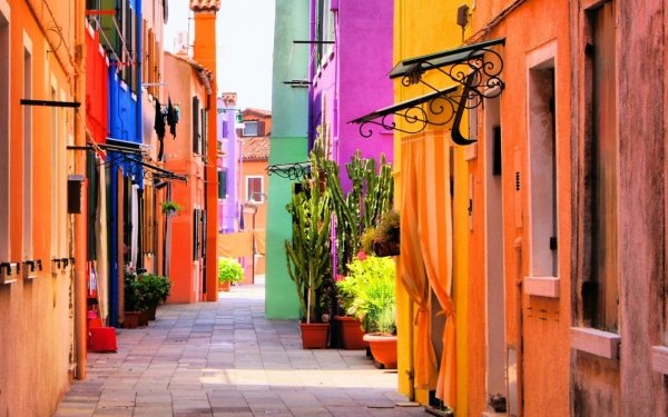 Man Made Street House Colors Colorful Pot Plant HD Wallpaper | Background Image