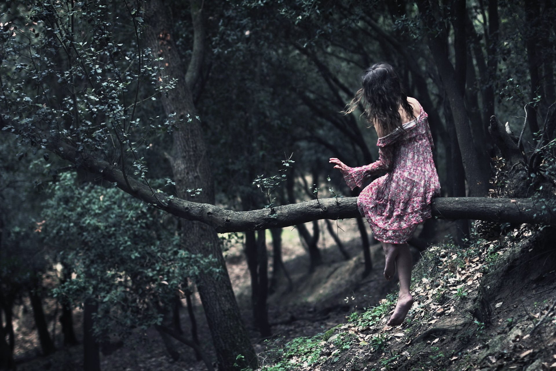 A brunette woman in a floral dress sits on a tree branch in a tranquil forest, her back to the viewer, capturing a serene moment amidst nature. HD desktop wallpaper.