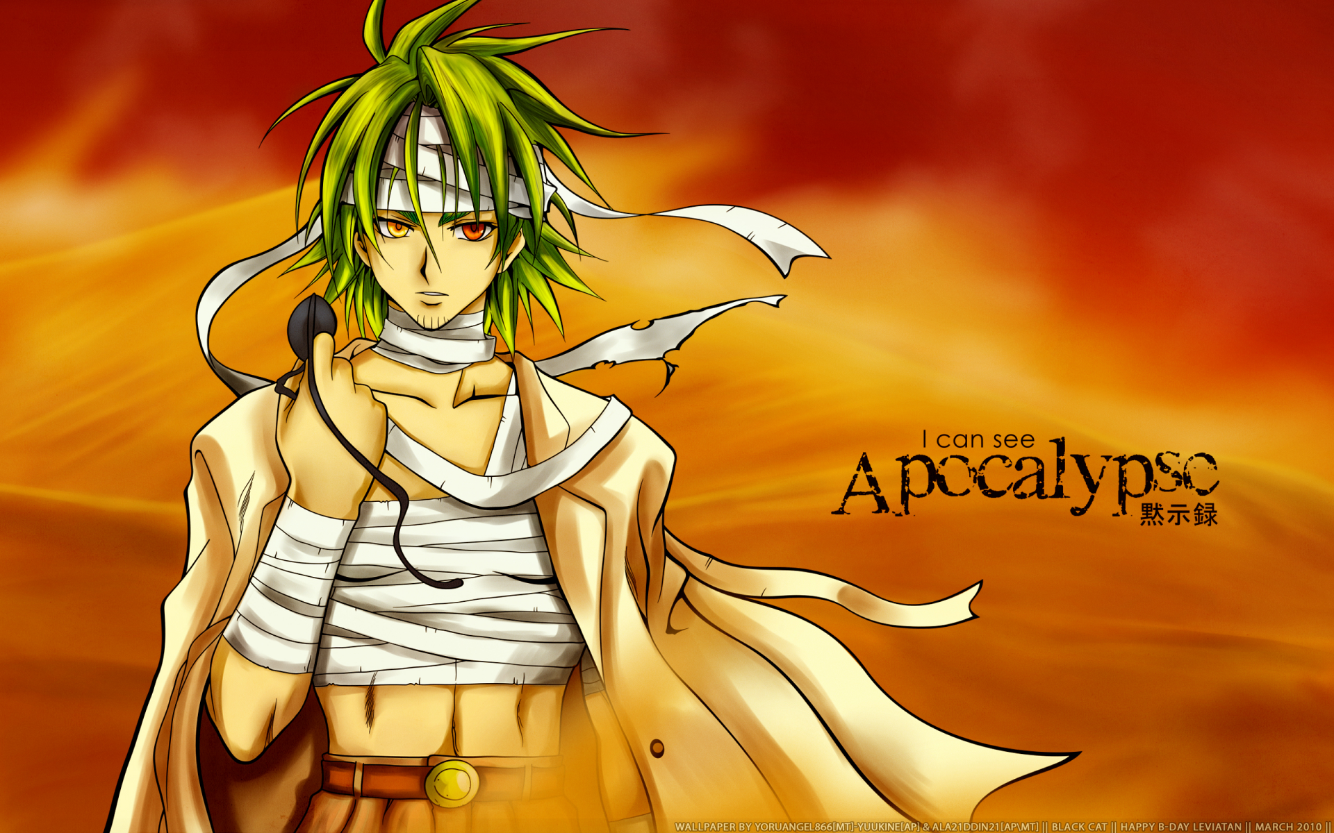 Download Anime Black Cat (Anime) HD Wallpaper by yoruangel866