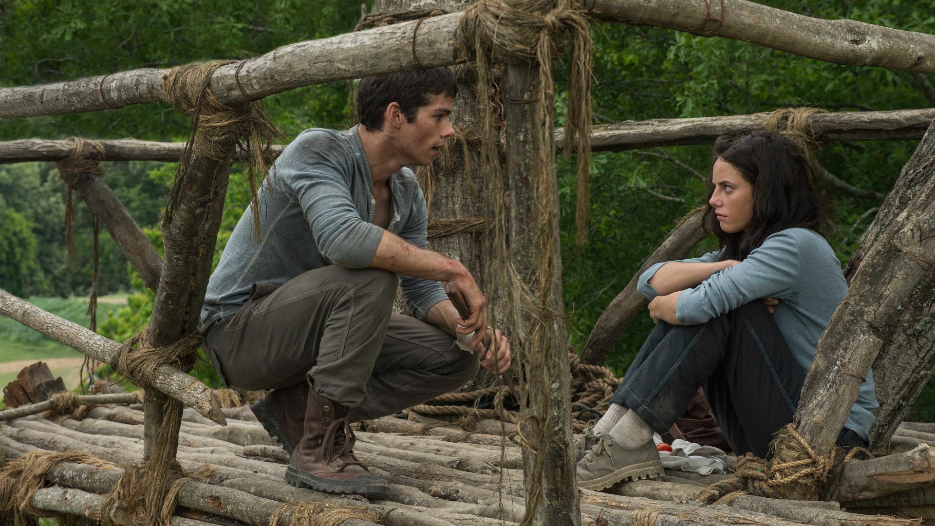 Download Movie The Maze Runner HD Wallpaper