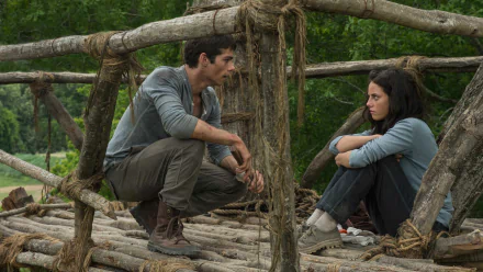 movie The Maze Runner HD Desktop Wallpaper | Background Image