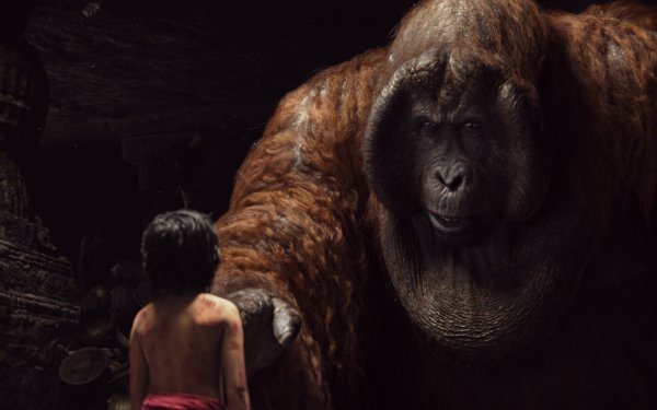 Movie The Jungle Book (2016) The Jungle Book Orangutan HD Wallpaper | Background Image