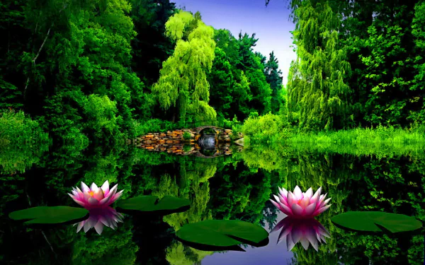 A serene pond scene featuring vibrant lotus flowers and lily pads, surrounded by lush greenery and a tranquil bridge, reflecting the beauty of spring in a peaceful park.