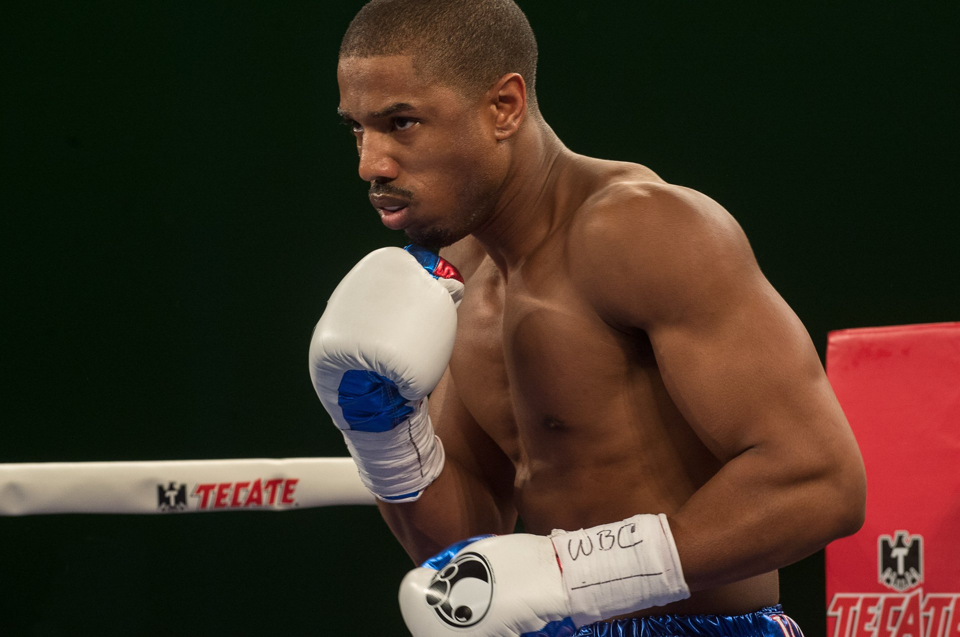 Download Michael B. Jordan Adonis Creed Movie Creed 4k Ultra HD Wallpaper