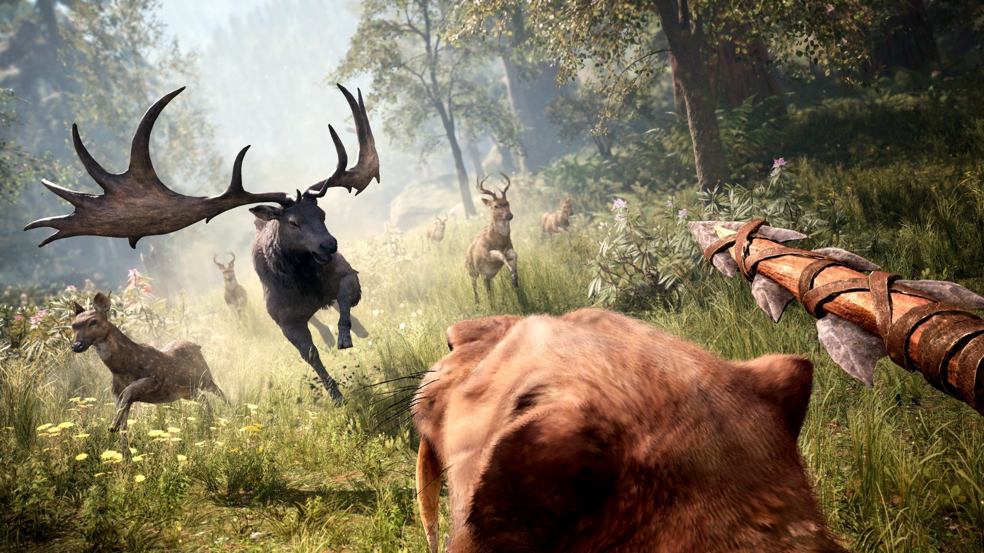 Download Video Game Far Cry Primal 4k Ultra HD Wallpaper