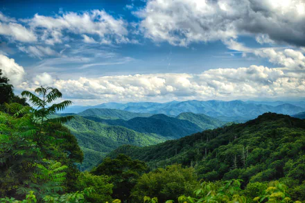 Lush greenery and forested ridges of the Smoky Mountains beneath dramatic clouds, layered mountain vistas — 5K Ultra HD PC desktop wallpaper and nature background.