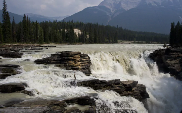 nature forest river Canada Jasper National Park waterfall athabasca falls HD Desktop Wallpaper | Background Image